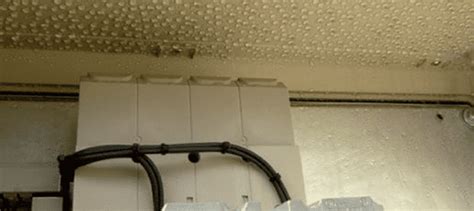 condensation in my electrical box|condensation in electrical containers.